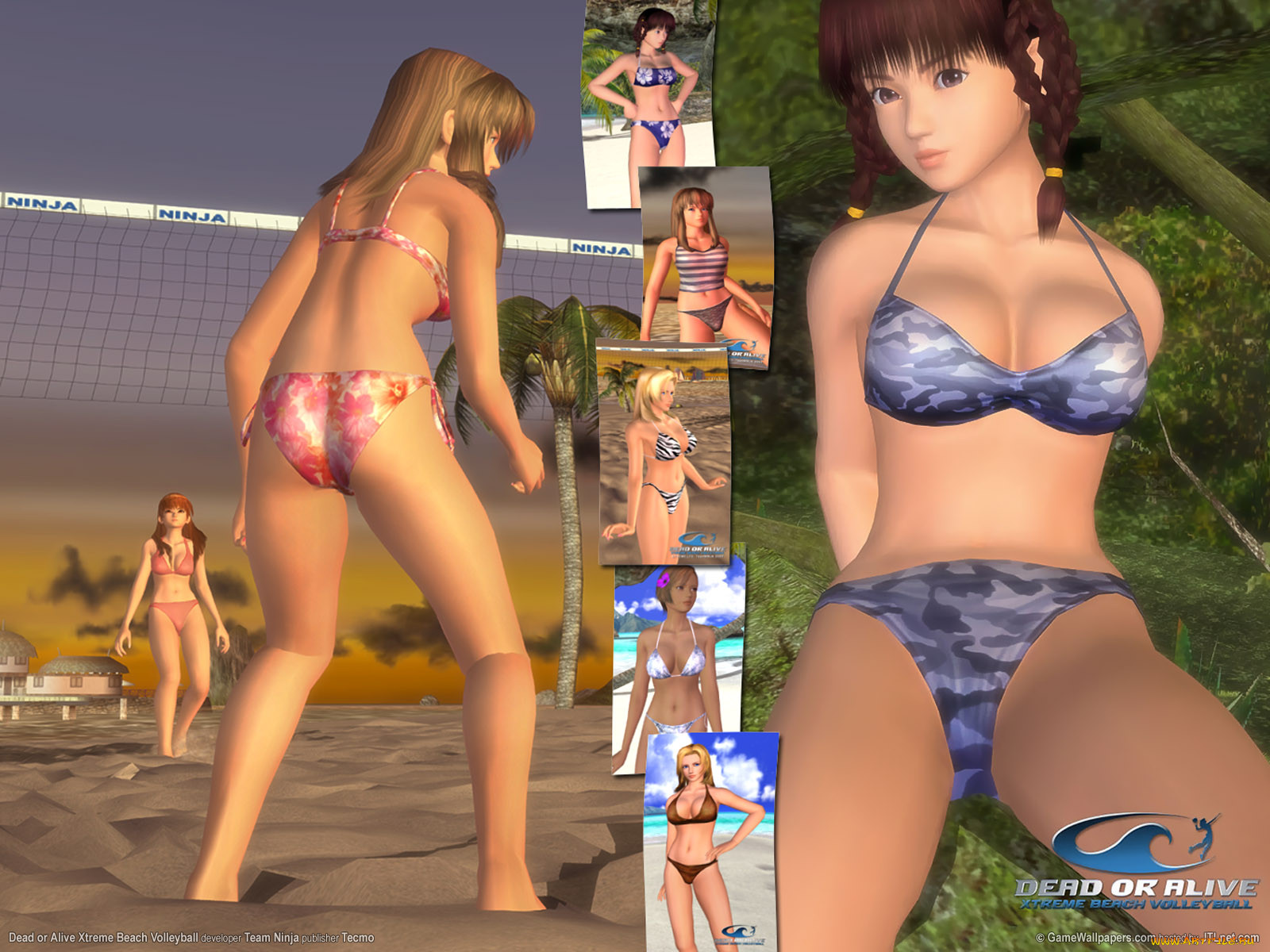 dead, or, alive, xtreme, beach, volleyball, , 